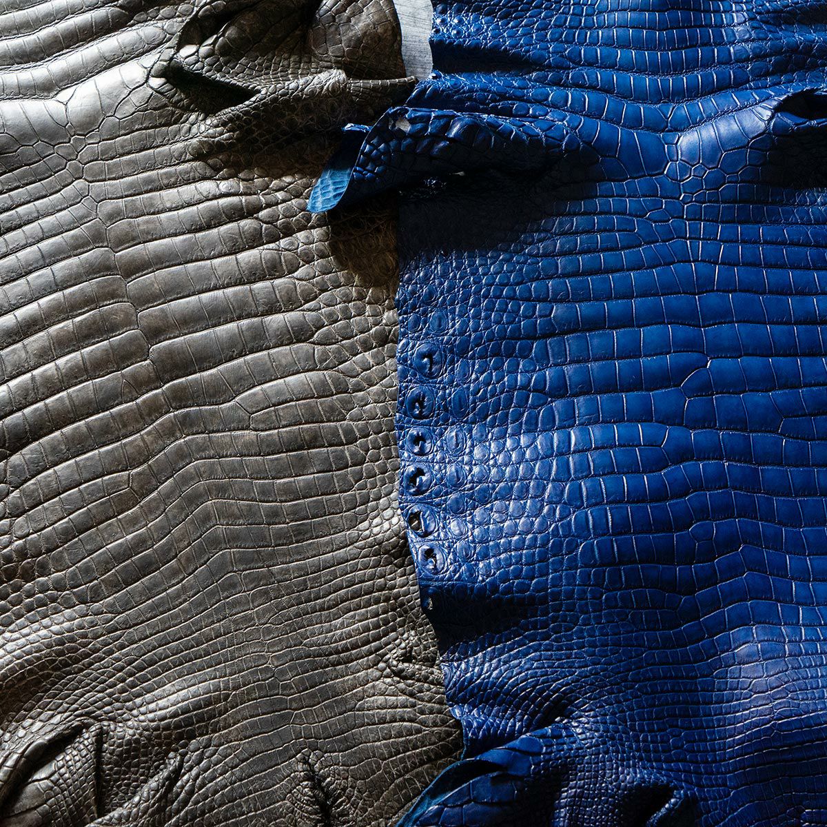 藍染めクロコダイルフラグメントケース（ポケッタブル財布