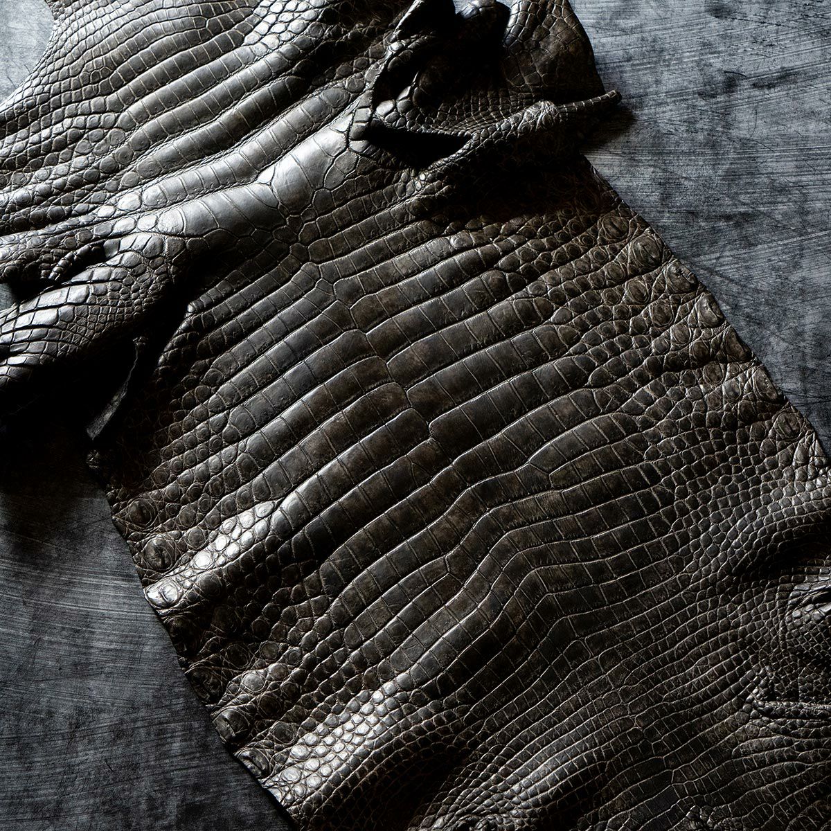 墨染めクロコダイルフラグメントケース（ポケッタブル財布