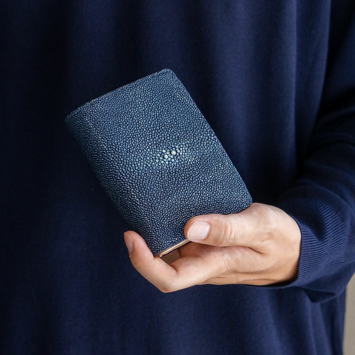 ガルーシャ深札入れ